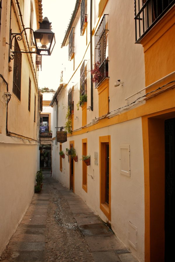 Stradă îngusta și pavată în Cordoba, Andaluzia, Spania