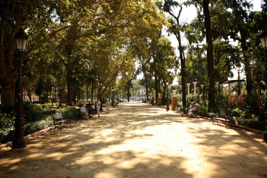 Plimbare prin parc spaniol, vara