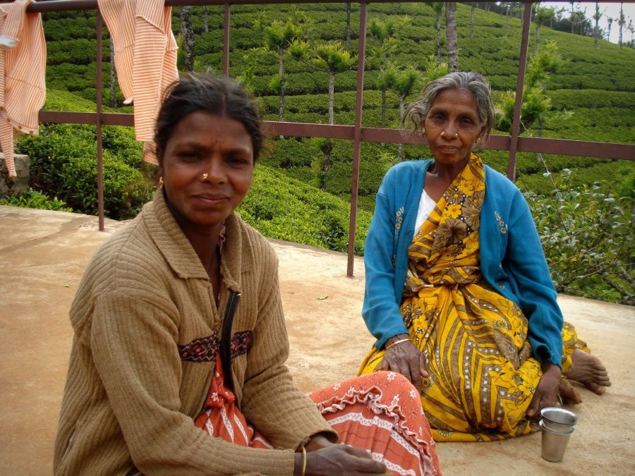 Lucrătoare indience pe plantația de ceai, Ooty, India