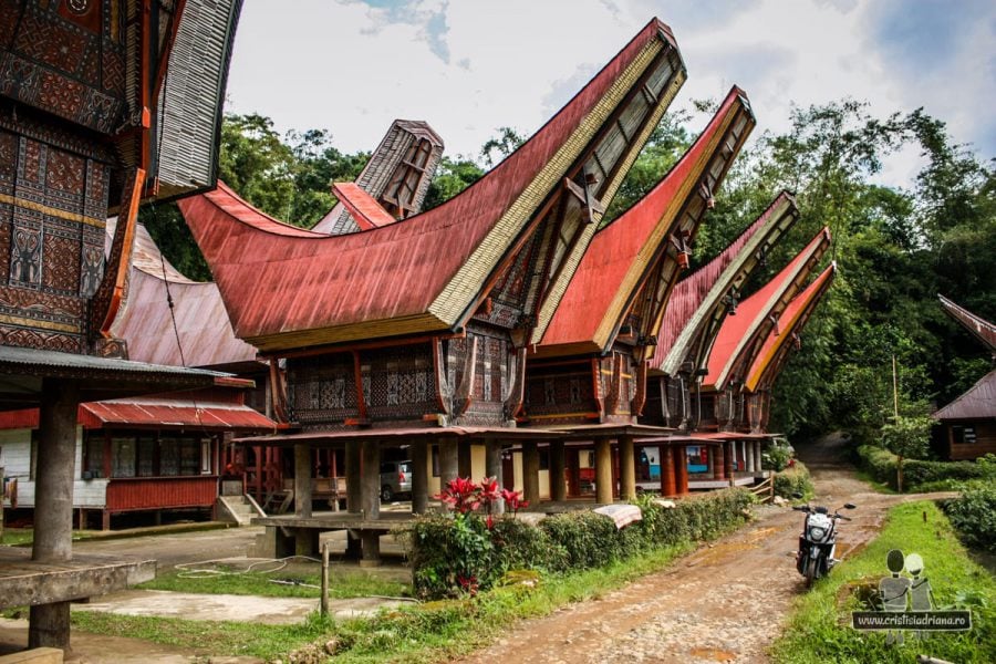 Case tongkonan în Indonezia