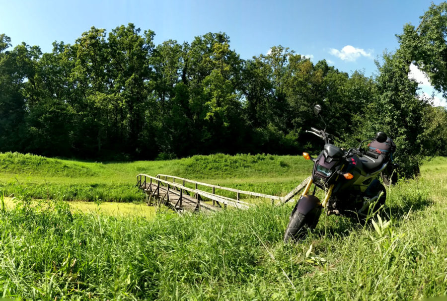 Grom in the grass